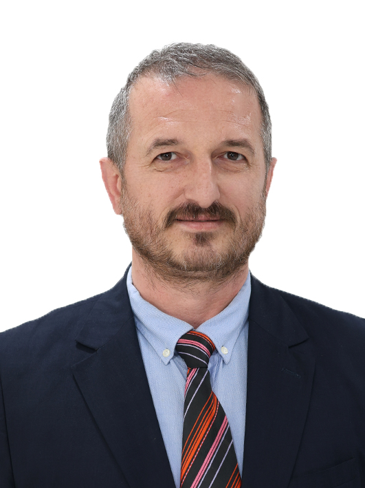 erdal-ercikan